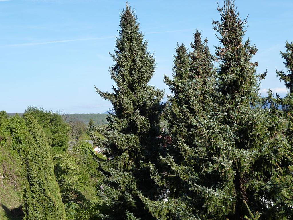 Helle 70 Qm Ferienwohnung Mit Herrlichem Blick Тенинген Экстерьер фото